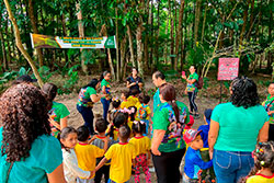 CEI Santa Rita de Cássia Visitando o Parque Natural imagem 12