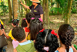 CEI Santa Rita de Cássia Visitando o Parque Natural imagem 16