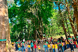 CEI Santa Rita de Cássia Visitando o Parque Natural imagem 3