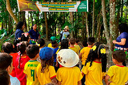 CEI Santa Rita de Cássia Visitando o Parque Natural imagem 43