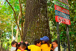 CEI Santa Rita de Cássia Visitando o Parque Natural imagem 58