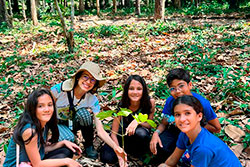 Centro Educacional Sesc de Castanhal Visitando o Parque Natural imagem 17