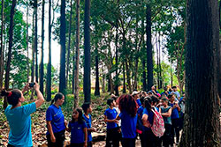 Centro Educacional Sesc de Castanhal Visitando o Parque Natural imagem 26