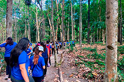 Centro Educacional Sesc de Castanhal Visitando o Parque Natural imagem 27
