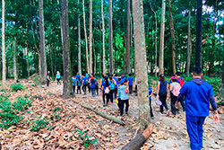 Centro Educacional Sesc de Castanhal Visitando o Parque Natural imagem 28