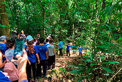 Centro Educacional Sesc de Castanhal Visitando o Parque Natural imagem 32