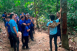 Centro Educacional Sesc de Castanhal Visitando o Parque Natural imagem 34