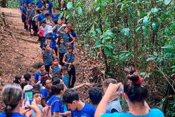 Centro Educacional Sesc de Castanhal Visitando o Parque Natural imagem 35