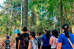 Centro Educacional Sesc de Castanhal Visitando o Parque Natural imagem 5