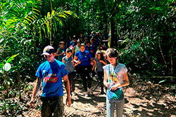 Centro Educacional Sesc de Castanhal Visitando o Parque Natural imagem 8