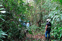 Limpeza do Parque Natural imagem 10
