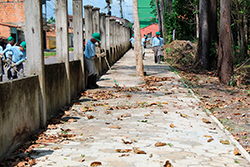 Limpeza do Parque Natural imagem 23