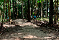 Limpeza do Parque Natural imagem 27