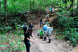 Limpeza do Parque Natural imagem 35