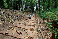 Limpeza do Parque Natural imagem 37