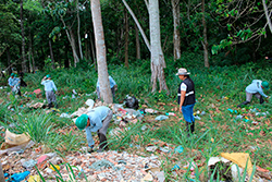 Limpeza do Parque Natural imagem 7