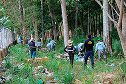 Limpeza do Parque Natural imagem 8
